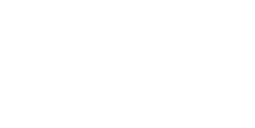 iColor Logo White